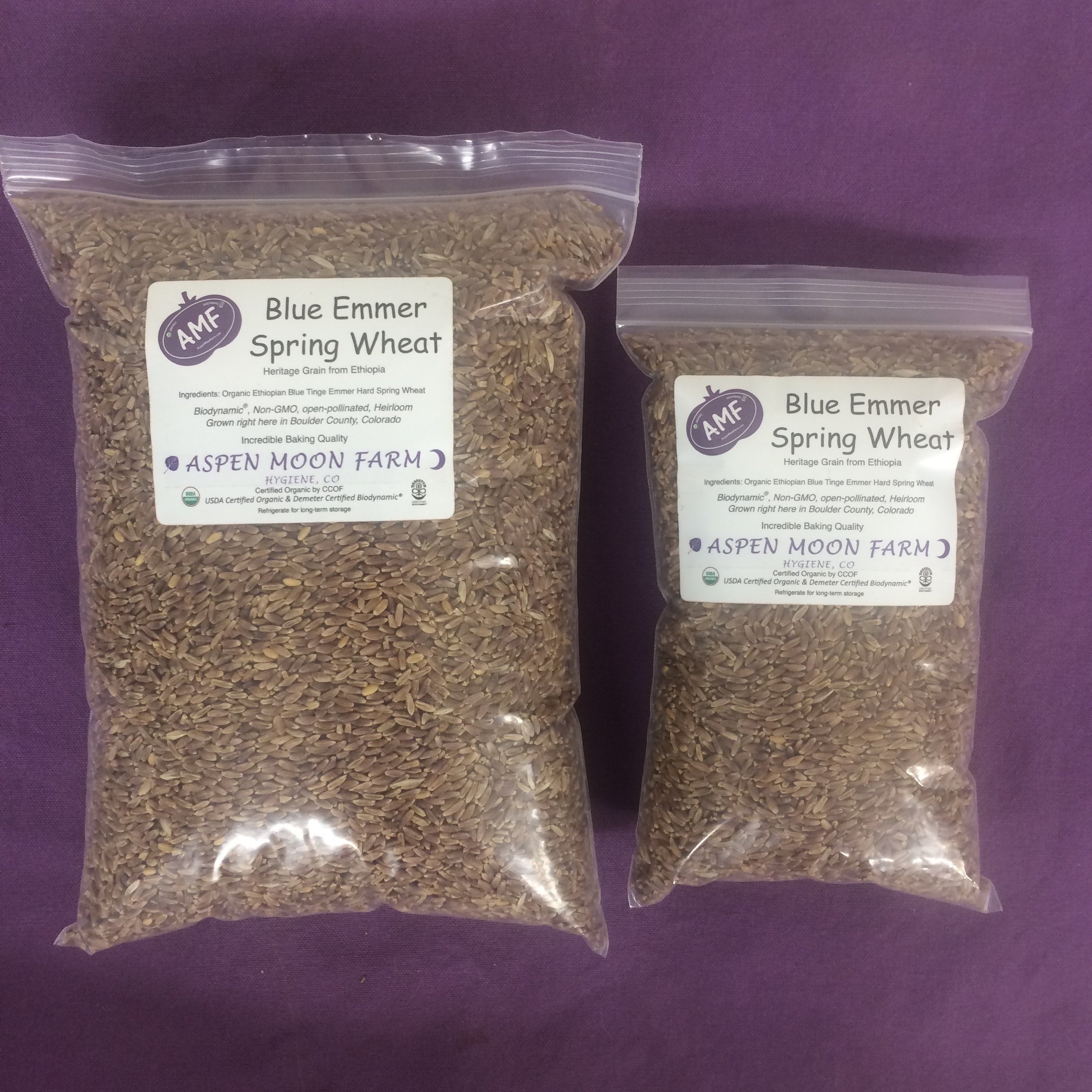 Blue Emmer Wheat Berries Aspen Moon Farm